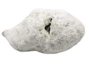 super pollen (copia)