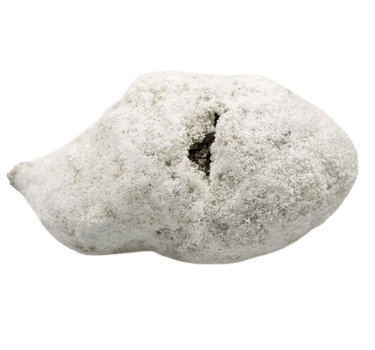super pollen (copia)