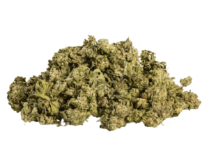 small buds mix (copia)