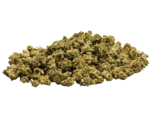 california haze