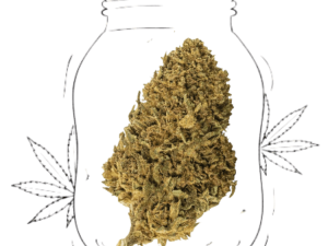 master kush (copia)