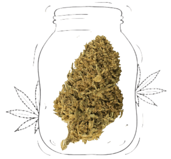 master kush (copia)