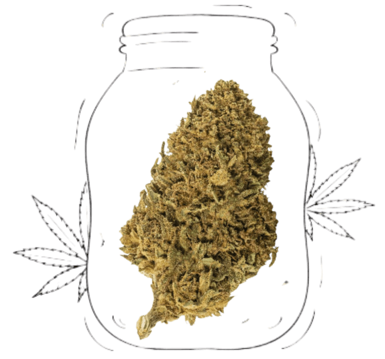 master kush (copia)