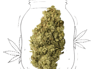 sweet berry (copia)