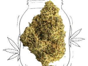 white widow (copia)