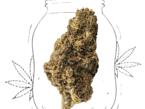 gorila glue
