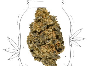 amnesia cbd boost