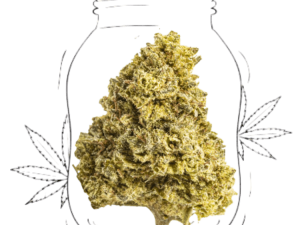 gelato