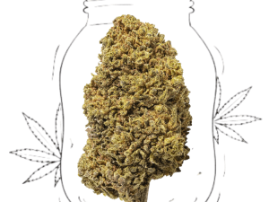 critical super boost (copia)