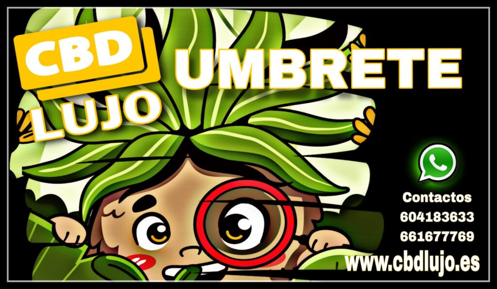 imagen de whatsapp 2025 08 21 a las 16.41.49 85407c33