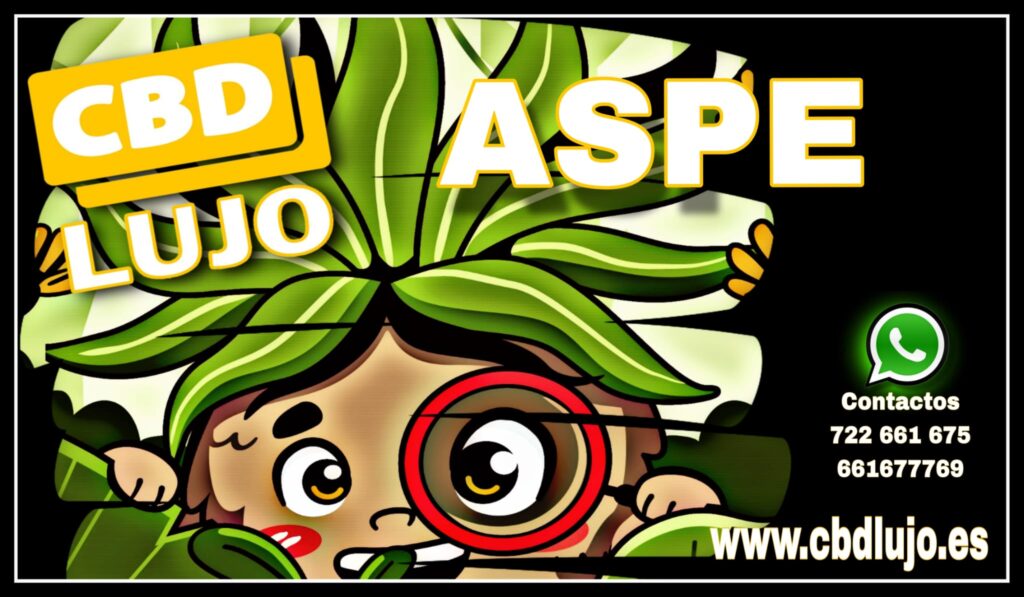 imagen de whatsapp 2025 08 31 a las 01.44.22 55f8b88f