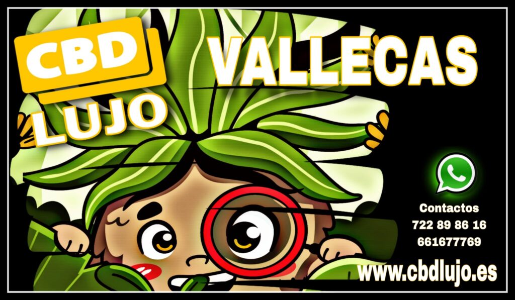 imagen de whatsapp 2025 08 31 a las 01.44.22 dab42f02