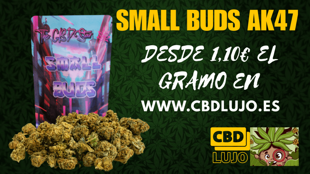 lujo copia