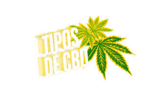 tipos cbd